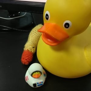 Rubber Duckie, You’re the… Problem Solver?